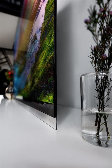 5 Hidden Features of the E9 Oled You Must Know About